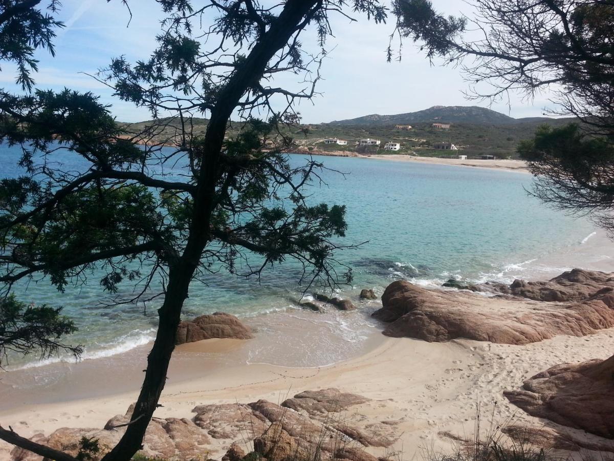 Fronte Mare Attico Indipendente Ed Esclusivo Con Terrazza Panoramica Appartement Isola Rossa Buitenkant foto